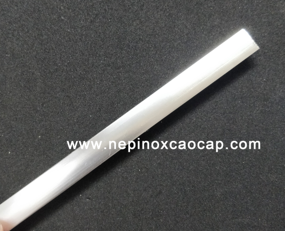 t10bb1 nẹp inox 304 chữ T V U L, nep inox trang tri, nẹp nhôm chữ T U V L, nep nhom trang tri